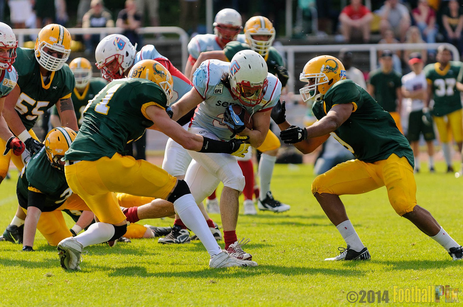 Cologne Crocodiles vs. Bonn Gamecocks - 18.05.2014 GFL2 Nord: Cologne Crocodiles vs. Bonn Gamecocks (21:14) 