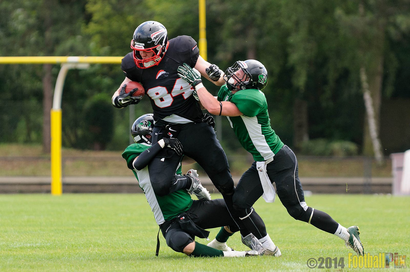 Düsseldorf Panther Prospects vs. Rheine Raptors - 15.06.2014 Düsseldorf Panther Prospects vs. Rheine Raptors (19:24) 