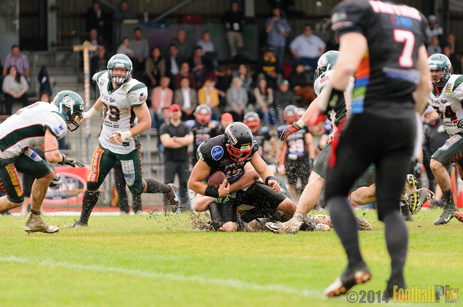 Düsseldorf Panther vs. Kiel Baltic Hurricanes - 29.06.2014 EFL - Düsseldorf Panther vs. Kiel Baltic Hurricanes (6:59) 