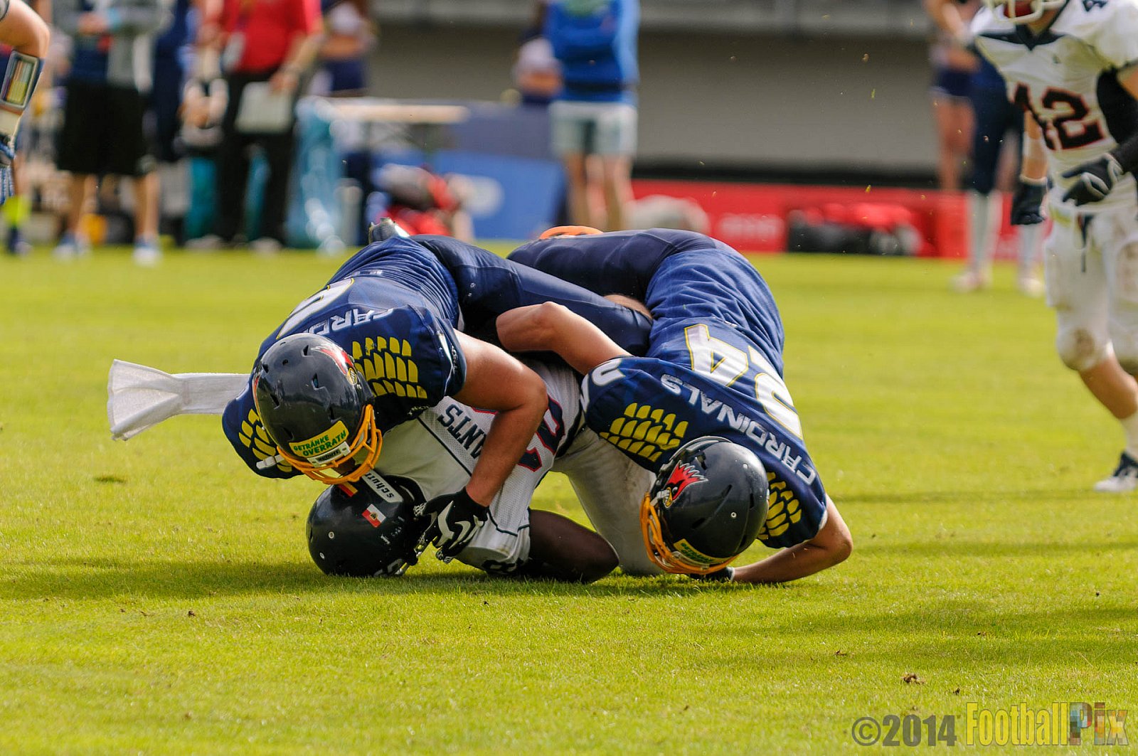 Essen Assindia Cardinals vs. Dortmund Giants - 05.07.2014 Essen Assindia Cardinals vs. Dortmund Giants (67:0) 