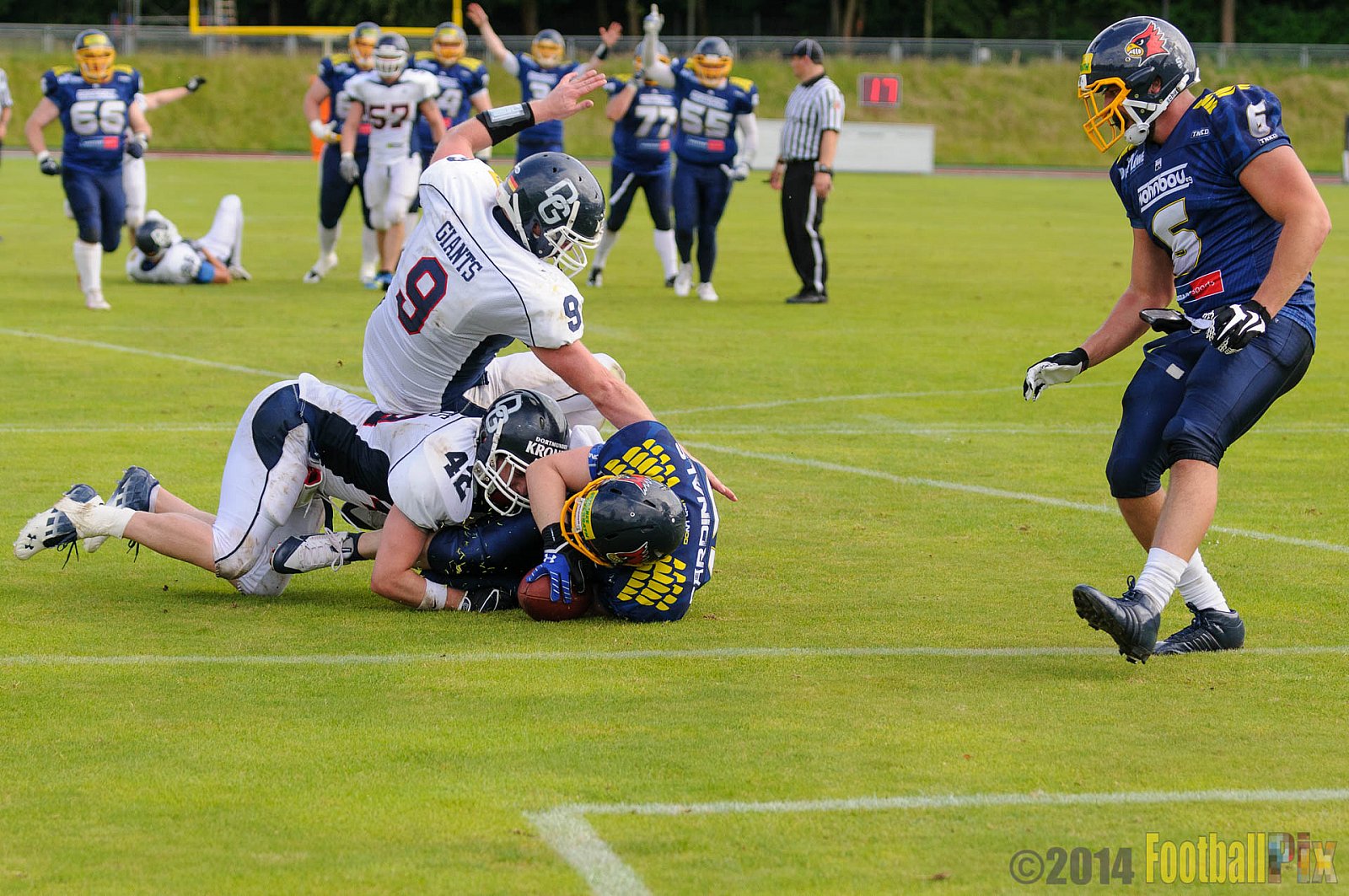 Essen Assindia Cardinals vs. Dortmund Giants - 05.07.2014 Essen Assindia Cardinals vs. Dortmund Giants (67:0) 