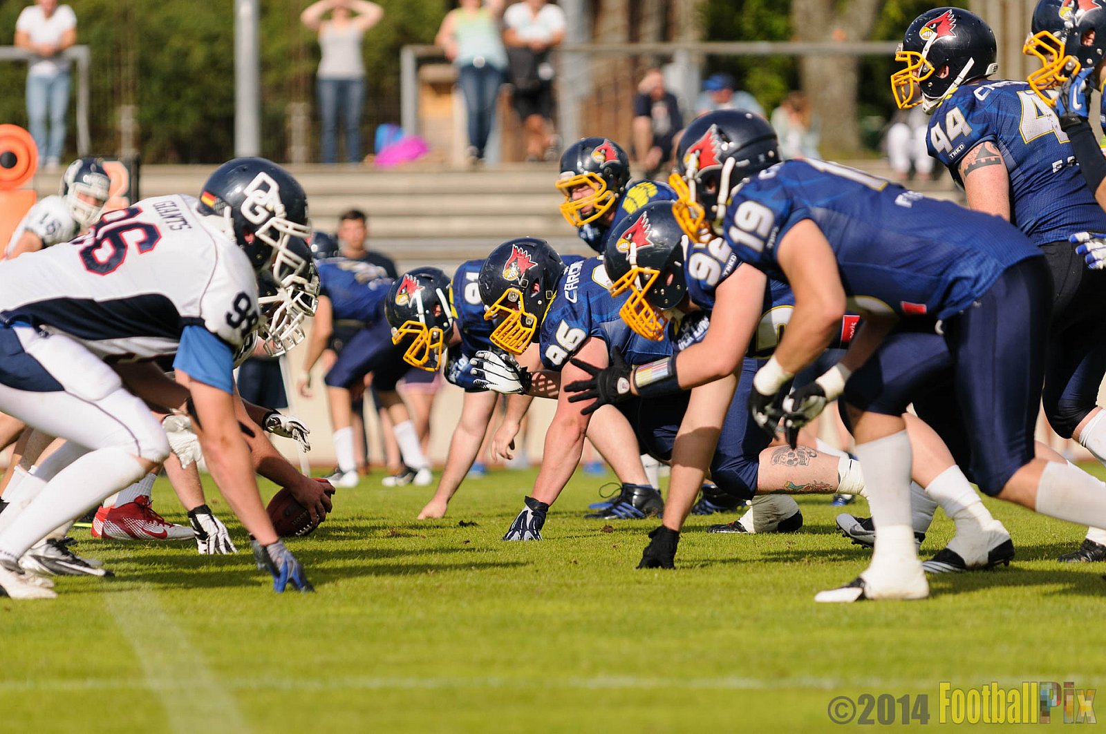 Essen Assindia Cardinals vs. Dortmund Giants - 05.07.2014 Essen Assindia Cardinals vs. Dortmund Giants (67:0) 