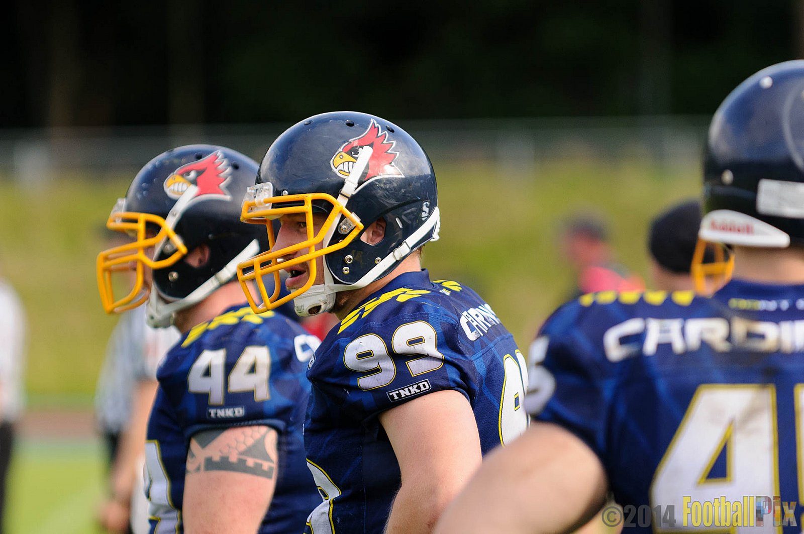 Essen Assindia Cardinals vs. Dortmund Giants - 05.07.2014 Essen Assindia Cardinals vs. Dortmund Giants (67:0) 
