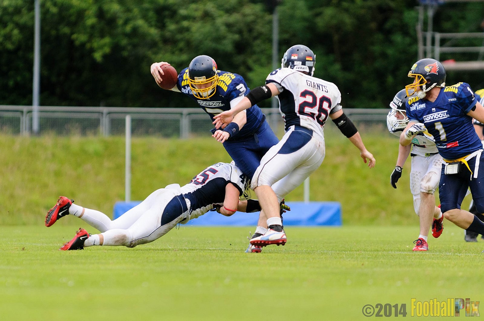 Essen Assindia Cardinals vs. Dortmund Giants - 05.07.2014 Essen Assindia Cardinals vs. Dortmund Giants (67:0) 
