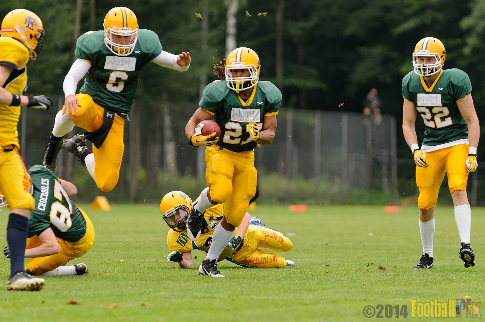 Cologne Crocodiles vs. Elmshorn Fighting Pirates - 12.07.2014 GFL2 Nord: Cologne Crocodiles vs. Elmshorn Fighting Pirates (43:12) 