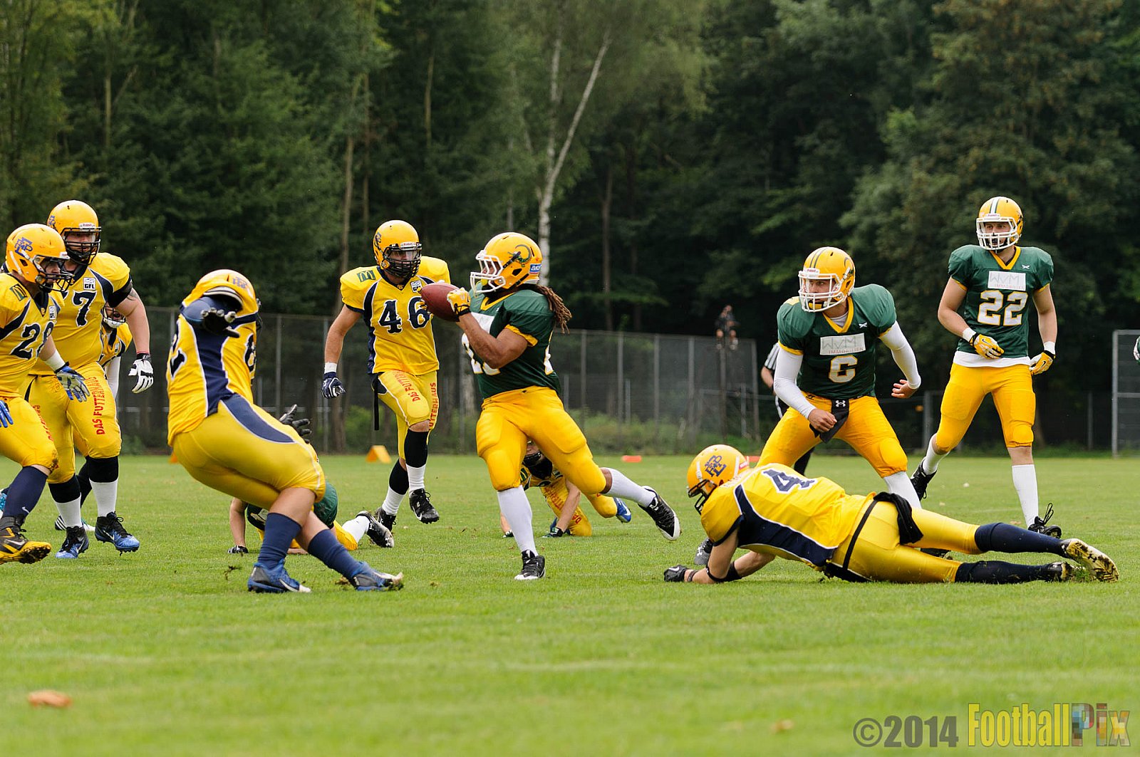 Cologne Crocodiles vs. Elmshorn Fighting Pirates - 12.07.2014 GFL2 Nord: Cologne Crocodiles vs. Elmshorn Fighting Pirates (43:12) 