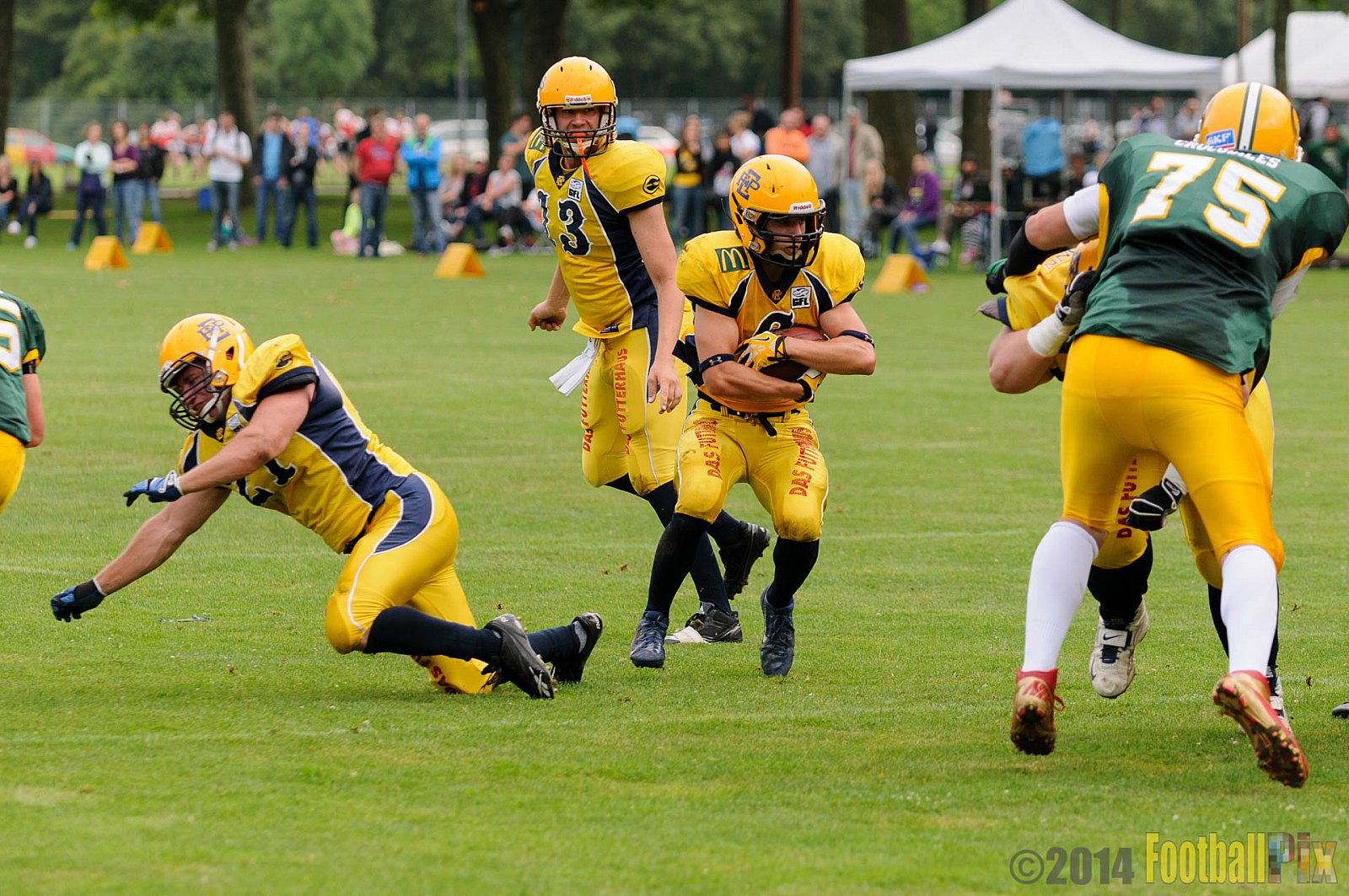 Cologne Crocodiles vs. Elmshorn Fighting Pirates - 12.07.2014 GFL2 Nord: Cologne Crocodiles vs. Elmshorn Fighting Pirates (43:12) 