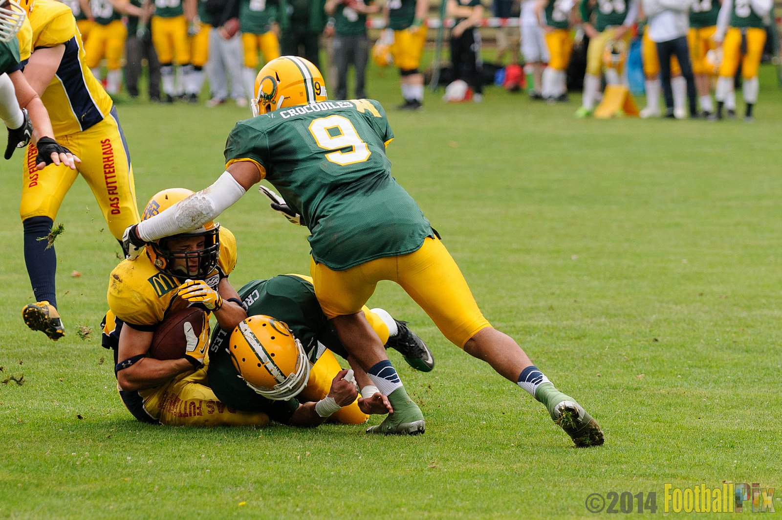 Cologne Crocodiles vs. Elmshorn Fighting Pirates - 12.07.2014 GFL2 Nord: Cologne Crocodiles vs. Elmshorn Fighting Pirates (43:12) 