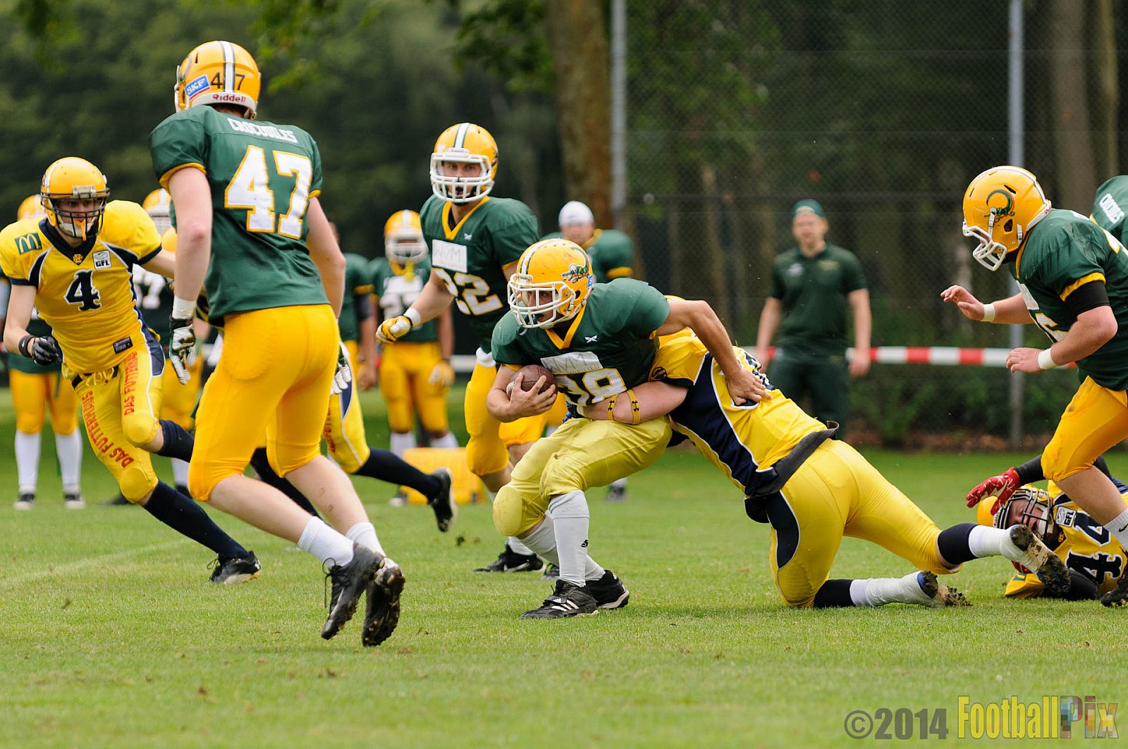 Cologne Crocodiles vs. Elmshorn Fighting Pirates - 12.07.2014 GFL2 Nord: Cologne Crocodiles vs. Elmshorn Fighting Pirates (43:12) 
