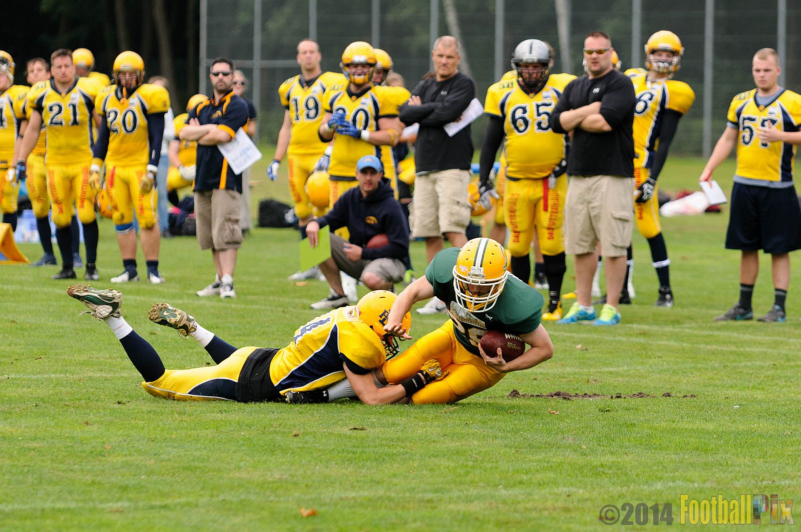 Cologne Crocodiles vs. Elmshorn Fighting Pirates - 12.07.2014 GFL2 Nord: Cologne Crocodiles vs. Elmshorn Fighting Pirates (43:12) 