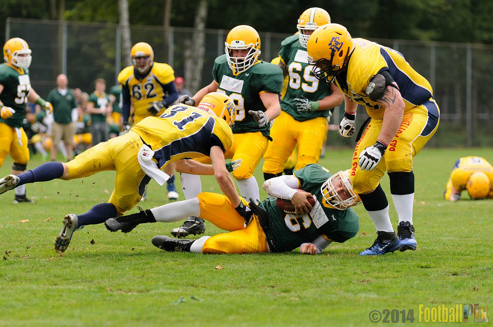 Cologne Crocodiles vs. Elmshorn Fighting Pirates - 12.07.2014 GFL2 Nord: Cologne Crocodiles vs. Elmshorn Fighting Pirates (43:12) 