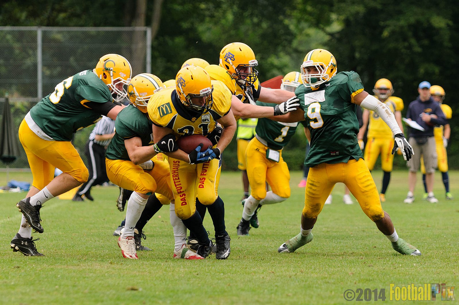 Cologne Crocodiles vs. Elmshorn Fighting Pirates - 12.07.2014 GFL2 Nord: Cologne Crocodiles vs. Elmshorn Fighting Pirates (43:12) 