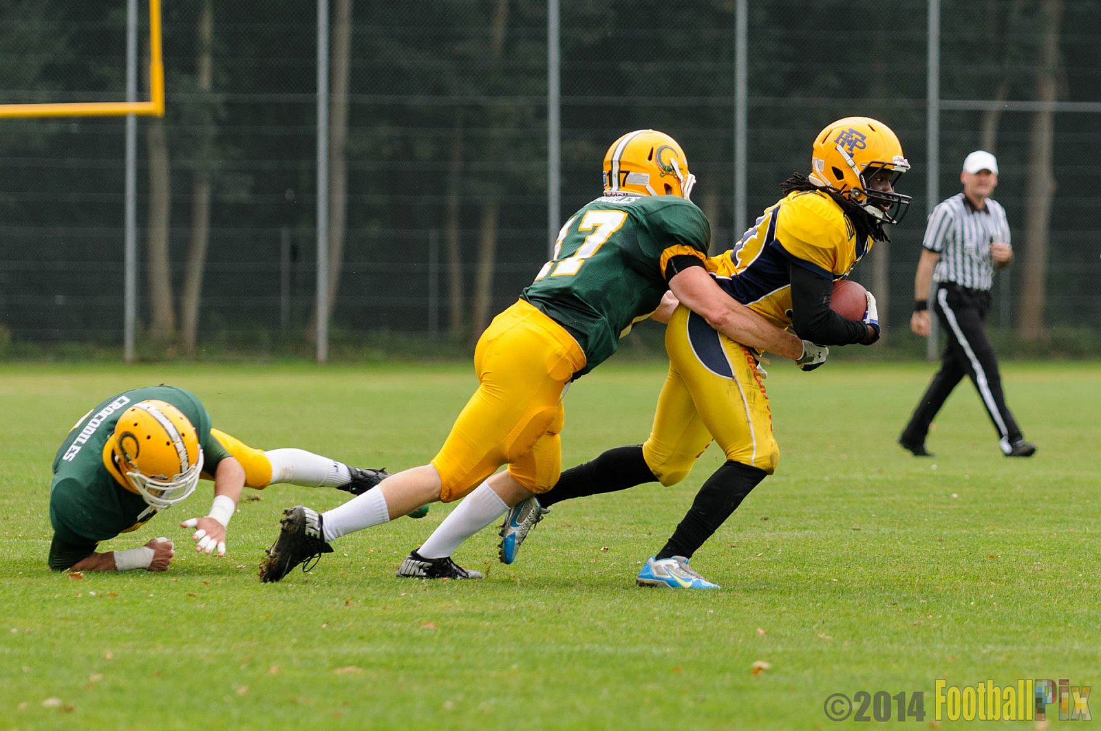 Cologne Crocodiles vs. Elmshorn Fighting Pirates - 12.07.2014 GFL2 Nord: Cologne Crocodiles vs. Elmshorn Fighting Pirates (43:12) 