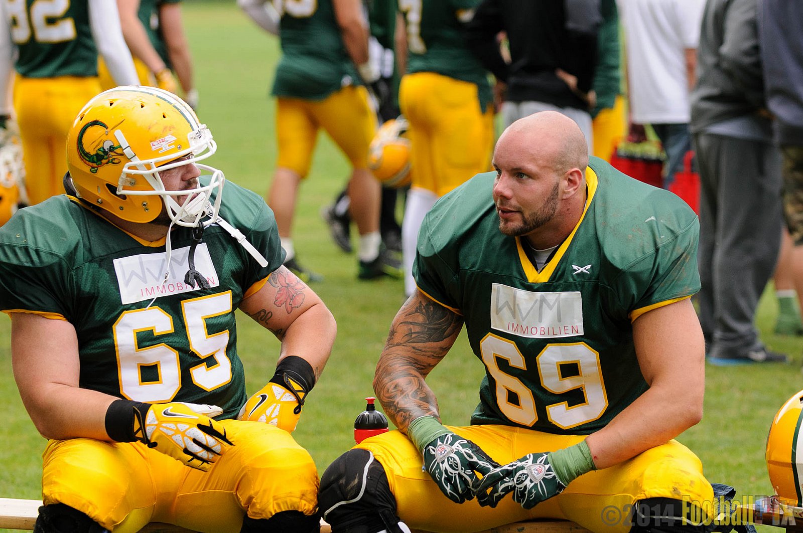 Cologne Crocodiles vs. Elmshorn Fighting Pirates - 12.07.2014 GFL2 Nord: Cologne Crocodiles vs. Elmshorn Fighting Pirates (43:12) 