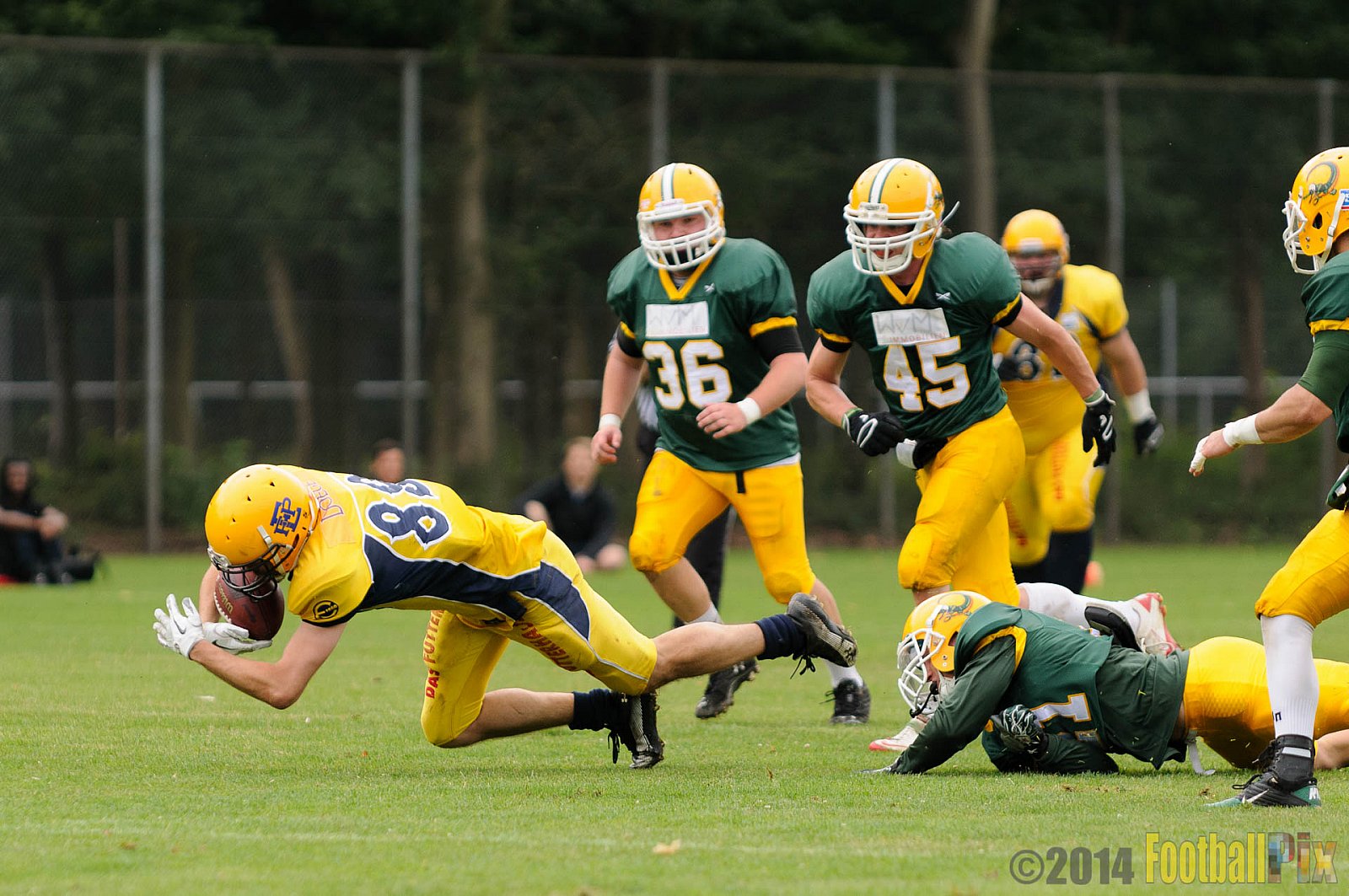 Cologne Crocodiles vs. Elmshorn Fighting Pirates - 12.07.2014 GFL2 Nord: Cologne Crocodiles vs. Elmshorn Fighting Pirates (43:12) 