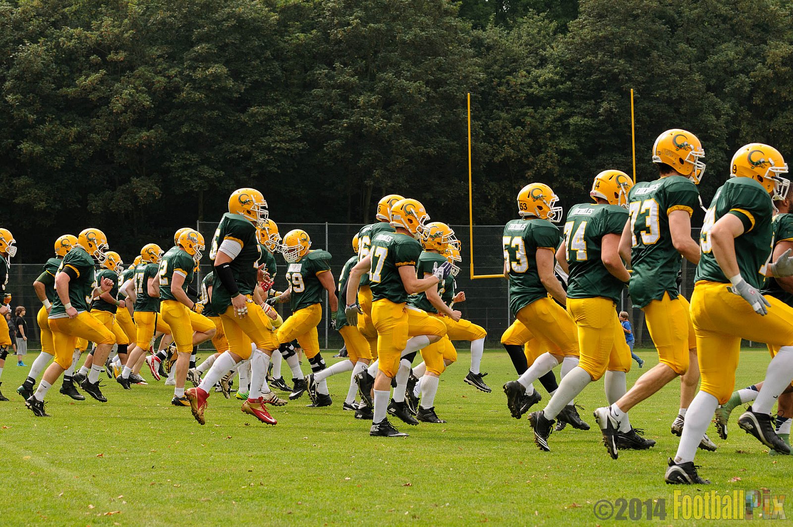 Cologne Crocodiles vs. Elmshorn Fighting Pirates - 12.07.2014 GFL2 Nord: Cologne Crocodiles vs. Elmshorn Fighting Pirates (43:12) 