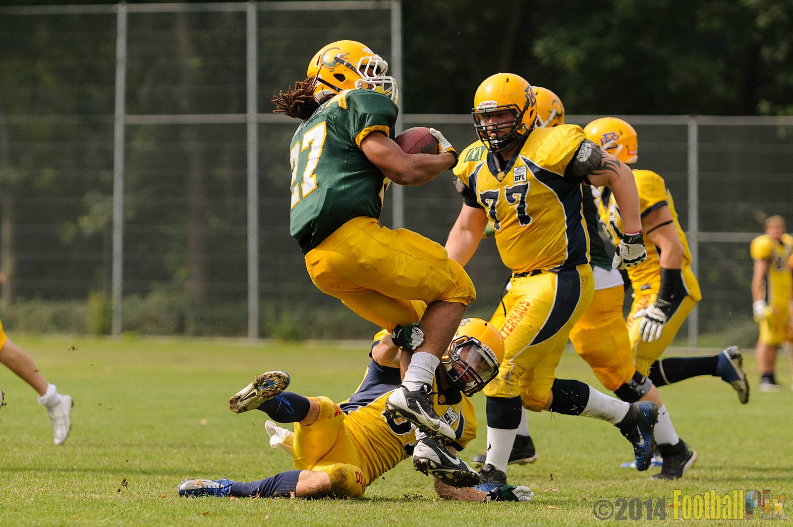 Cologne Crocodiles vs. Elmshorn Fighting Pirates - 12.07.2014 GFL2 Nord: Cologne Crocodiles vs. Elmshorn Fighting Pirates (43:12) 