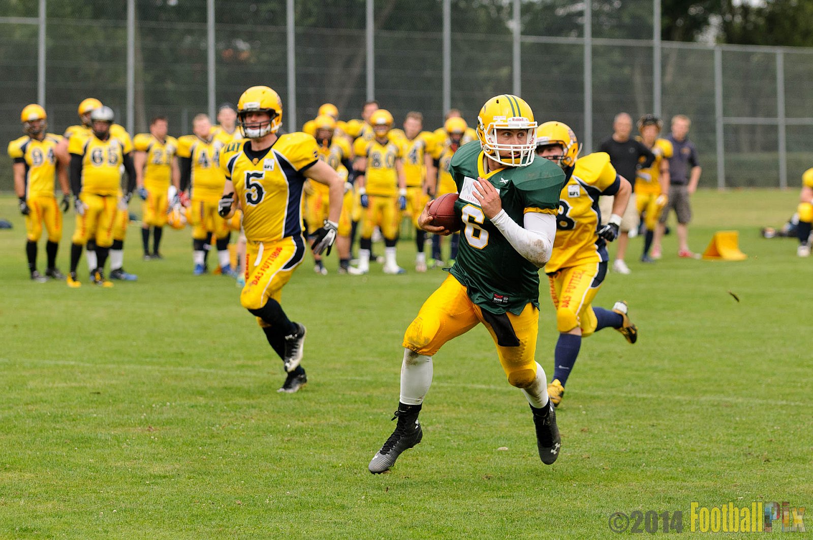 Cologne Crocodiles vs. Elmshorn Fighting Pirates - 12.07.2014 GFL2 Nord: Cologne Crocodiles vs. Elmshorn Fighting Pirates (43:12) 