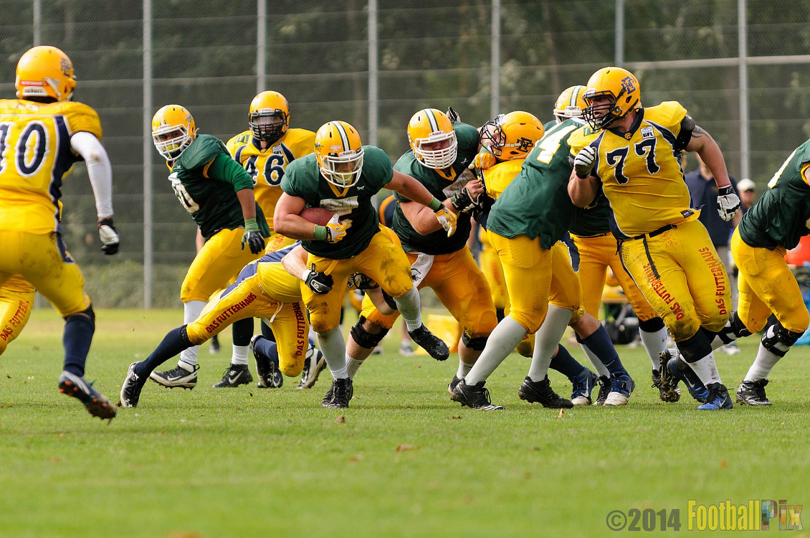 Cologne Crocodiles vs. Elmshorn Fighting Pirates - 12.07.2014 GFL2 Nord: Cologne Crocodiles vs. Elmshorn Fighting Pirates (43:12) 