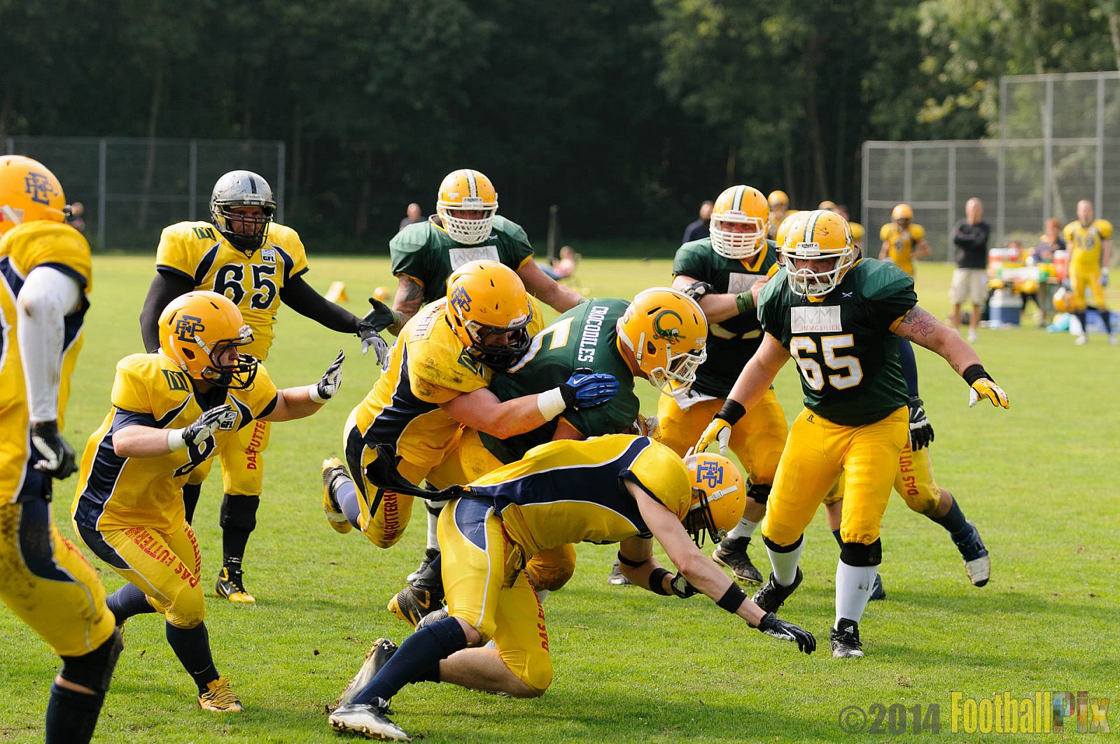 Cologne Crocodiles vs. Elmshorn Fighting Pirates - 12.07.2014 GFL2 Nord: Cologne Crocodiles vs. Elmshorn Fighting Pirates (43:12) 