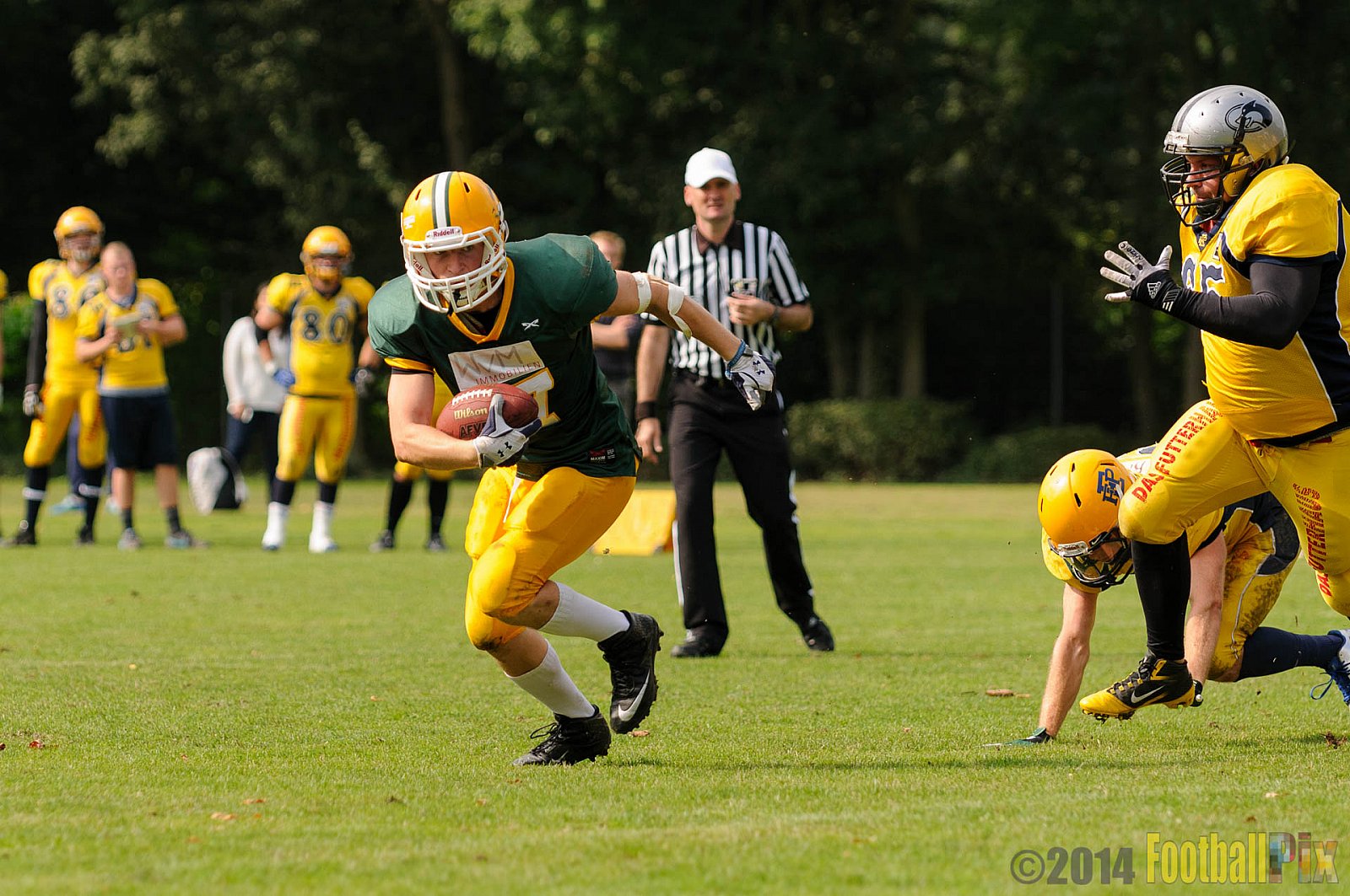 Cologne Crocodiles vs. Elmshorn Fighting Pirates - 12.07.2014 GFL2 Nord: Cologne Crocodiles vs. Elmshorn Fighting Pirates (43:12) 
