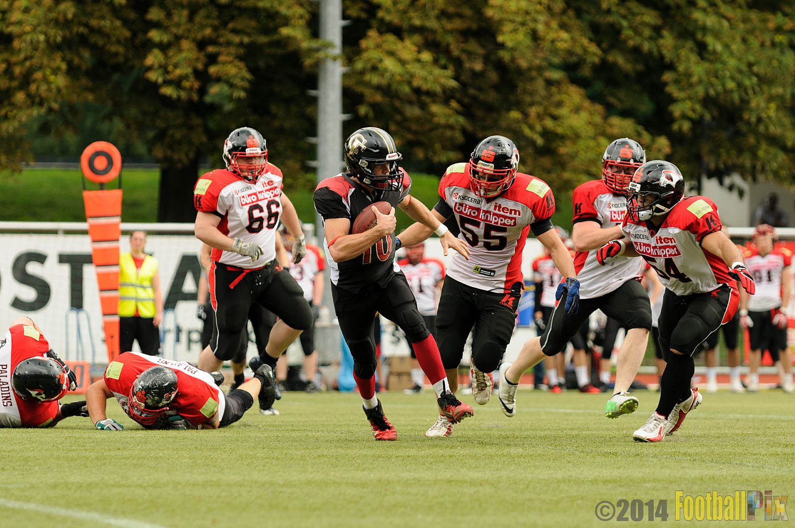 Cologne Falcons II vs. Solingen Paladins - 03.08.2014 Cologne Falcons II vs. Solingen Paladins (34:14) 