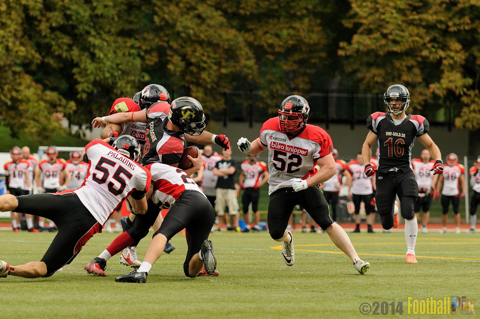 Cologne Falcons II vs. Solingen Paladins - 03.08.2014 Cologne Falcons II vs. Solingen Paladins (34:14) 