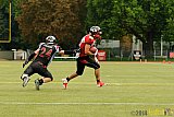 Cologne Falcons II vs. Solingen Paladins - 03.08.2014 Cologne Falcons II vs. Solingen Paladins (34:14) 