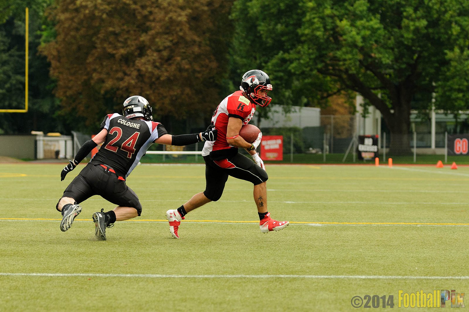 Cologne Falcons II vs. Solingen Paladins - 03.08.2014 Cologne Falcons II vs. Solingen Paladins (34:14) 
