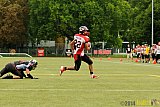 Cologne Falcons II vs. Solingen Paladins - 03.08.2014 Cologne Falcons II vs. Solingen Paladins (34:14) 