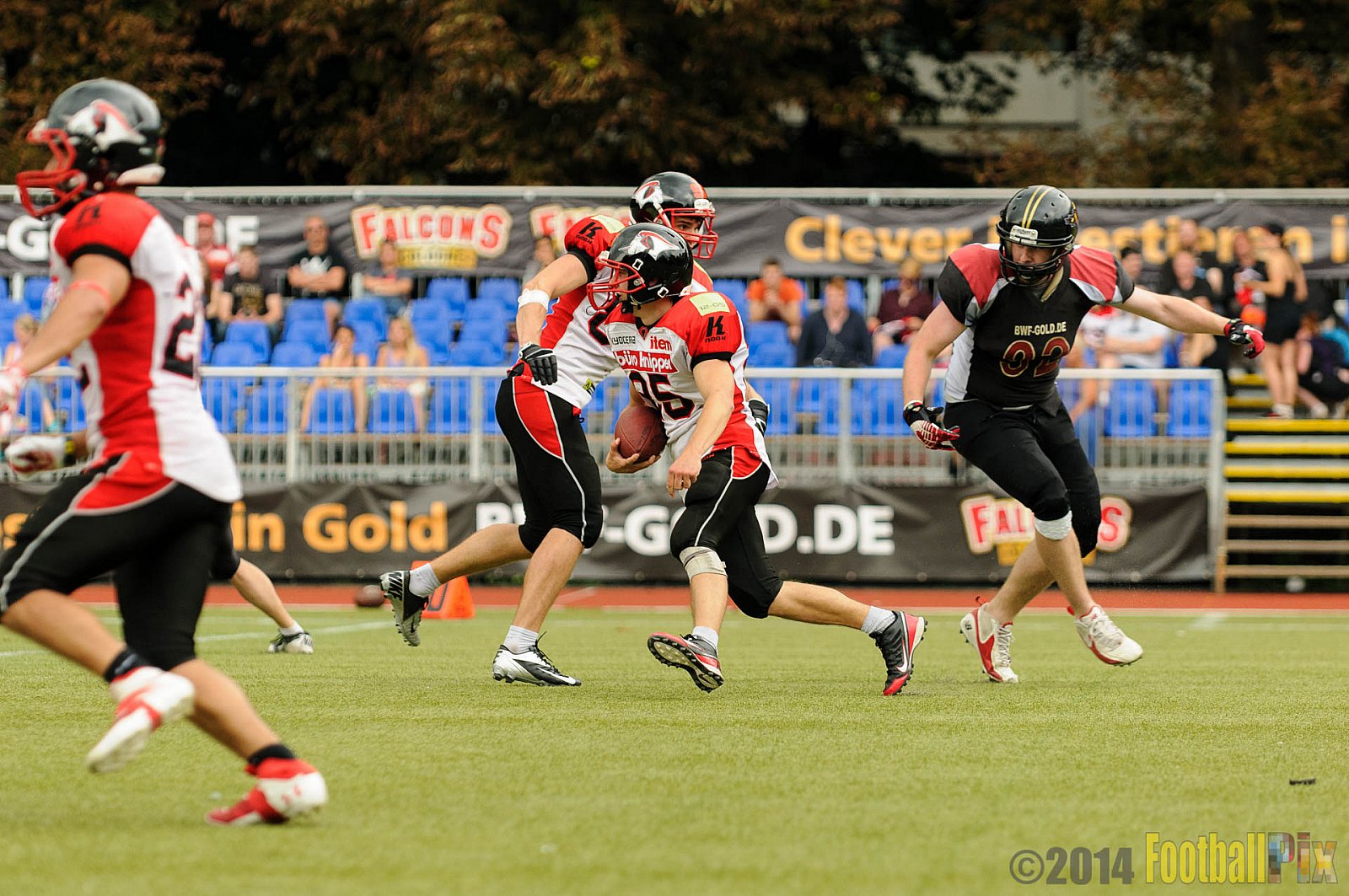 Cologne Falcons II vs. Solingen Paladins - 03.08.2014 Cologne Falcons II vs. Solingen Paladins (34:14) 