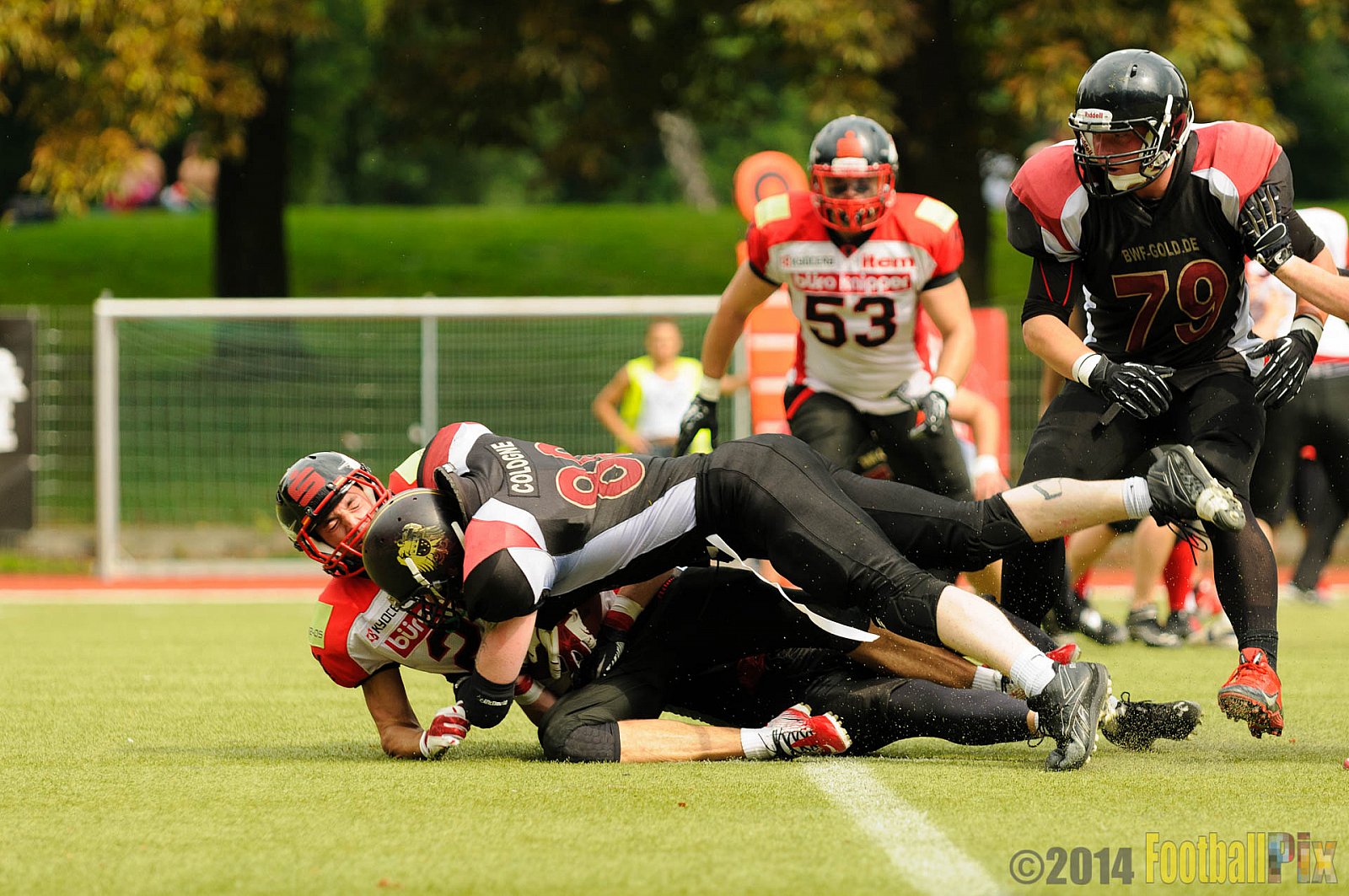 Cologne Falcons II vs. Solingen Paladins - 03.08.2014 Cologne Falcons II vs. Solingen Paladins (34:14) 