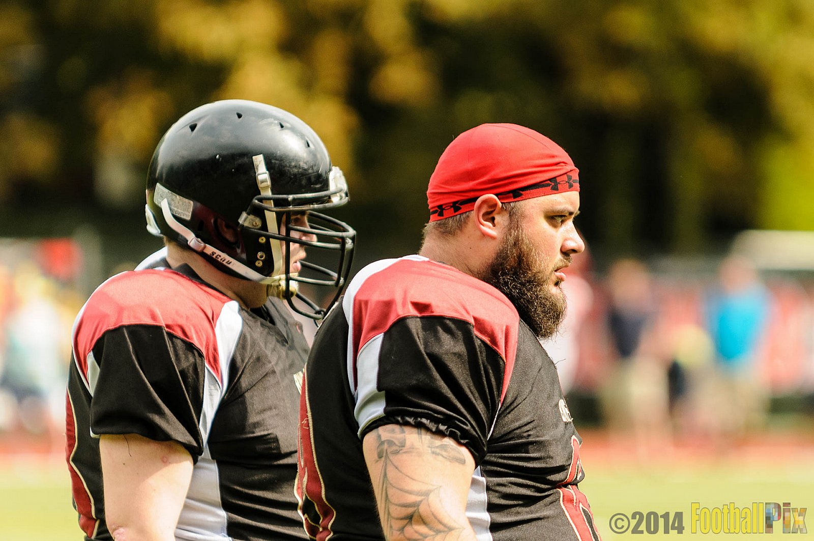 Cologne Falcons II vs. Solingen Paladins - 03.08.2014 Cologne Falcons II vs. Solingen Paladins (34:14) 