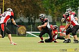 Cologne Falcons II vs. Solingen Paladins - 03.08.2014 Cologne Falcons II vs. Solingen Paladins (34:14) 