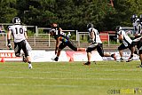 Düsseldorf Panther vs. Berlin Rebels - 09.08.2014 GFL Nord: Düsseldorf Panther vs. Berlin Rebels (29:34) 