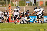 Düsseldorf Panther vs. Berlin Rebels - 09.08.2014 GFL Nord: Düsseldorf Panther vs. Berlin Rebels (29:34) 