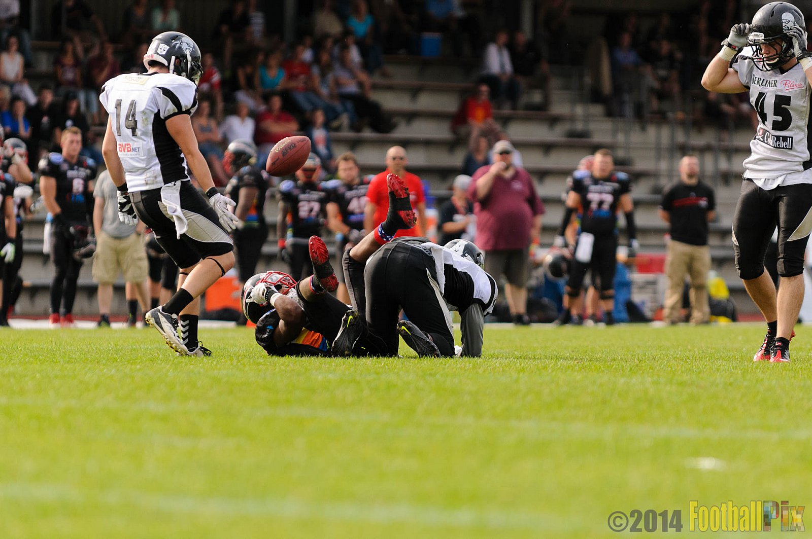 Düsseldorf Panther vs. Berlin Rebels - 09.08.2014 GFL Nord: Düsseldorf Panther vs. Berlin Rebels (29:34) 