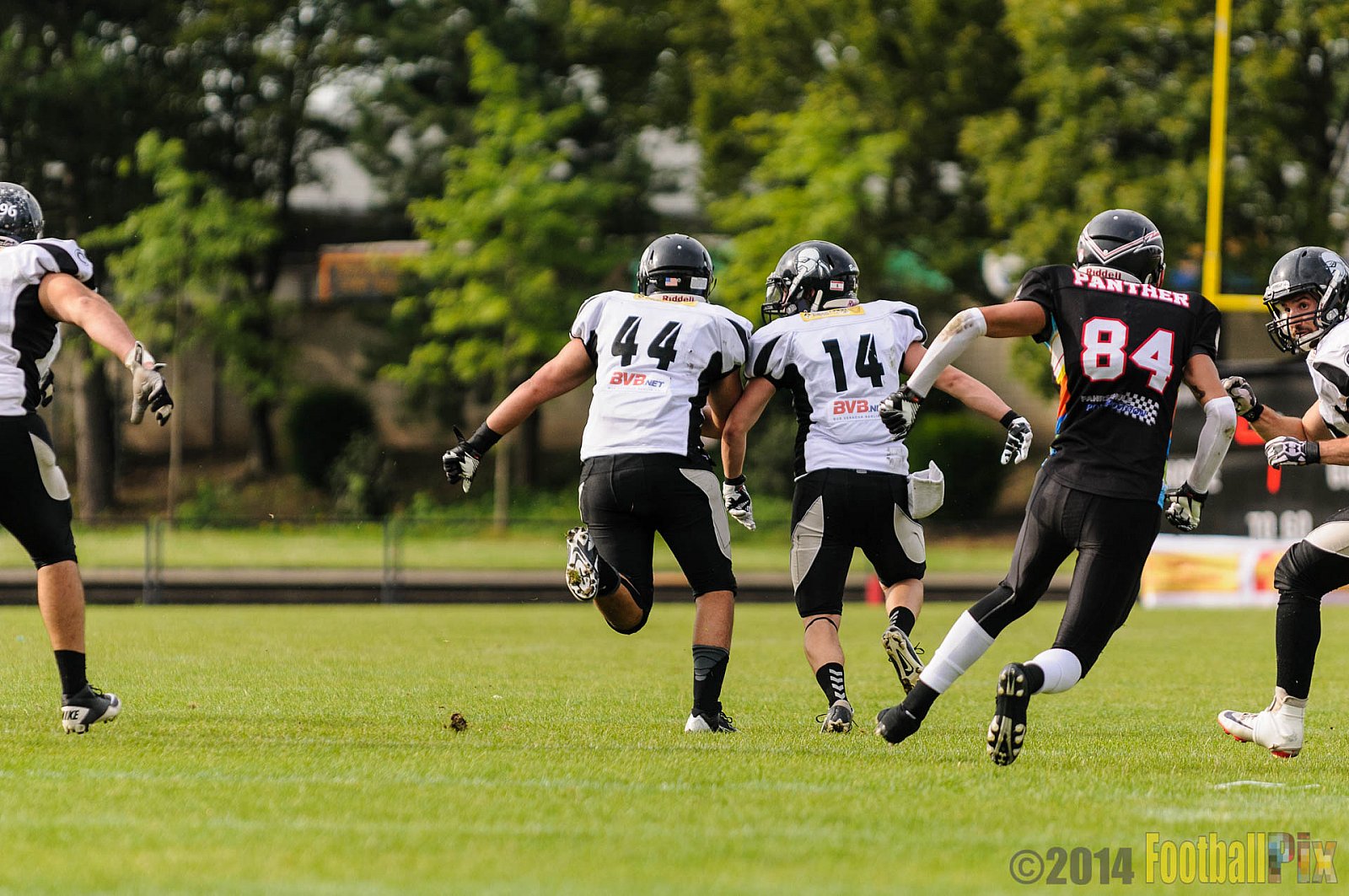 Düsseldorf Panther vs. Berlin Rebels - 09.08.2014 GFL Nord: Düsseldorf Panther vs. Berlin Rebels (29:34) 