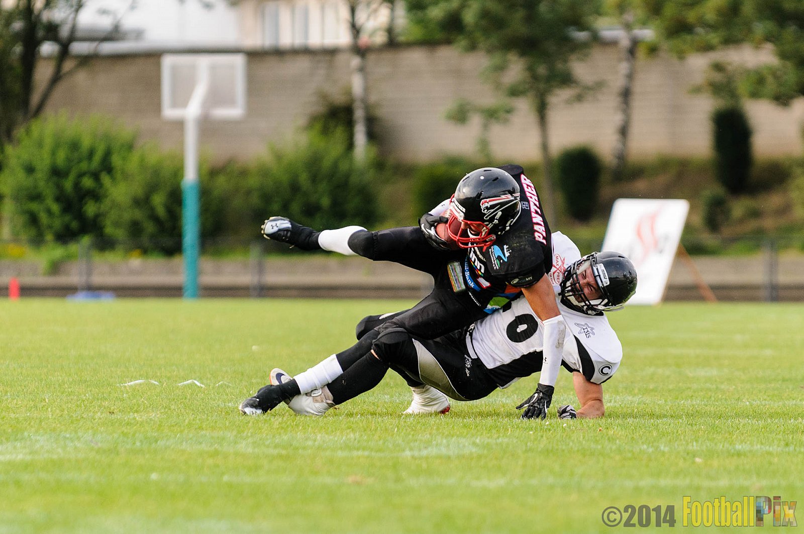 Düsseldorf Panther vs. Berlin Rebels - 09.08.2014 GFL Nord: Düsseldorf Panther vs. Berlin Rebels (29:34) 