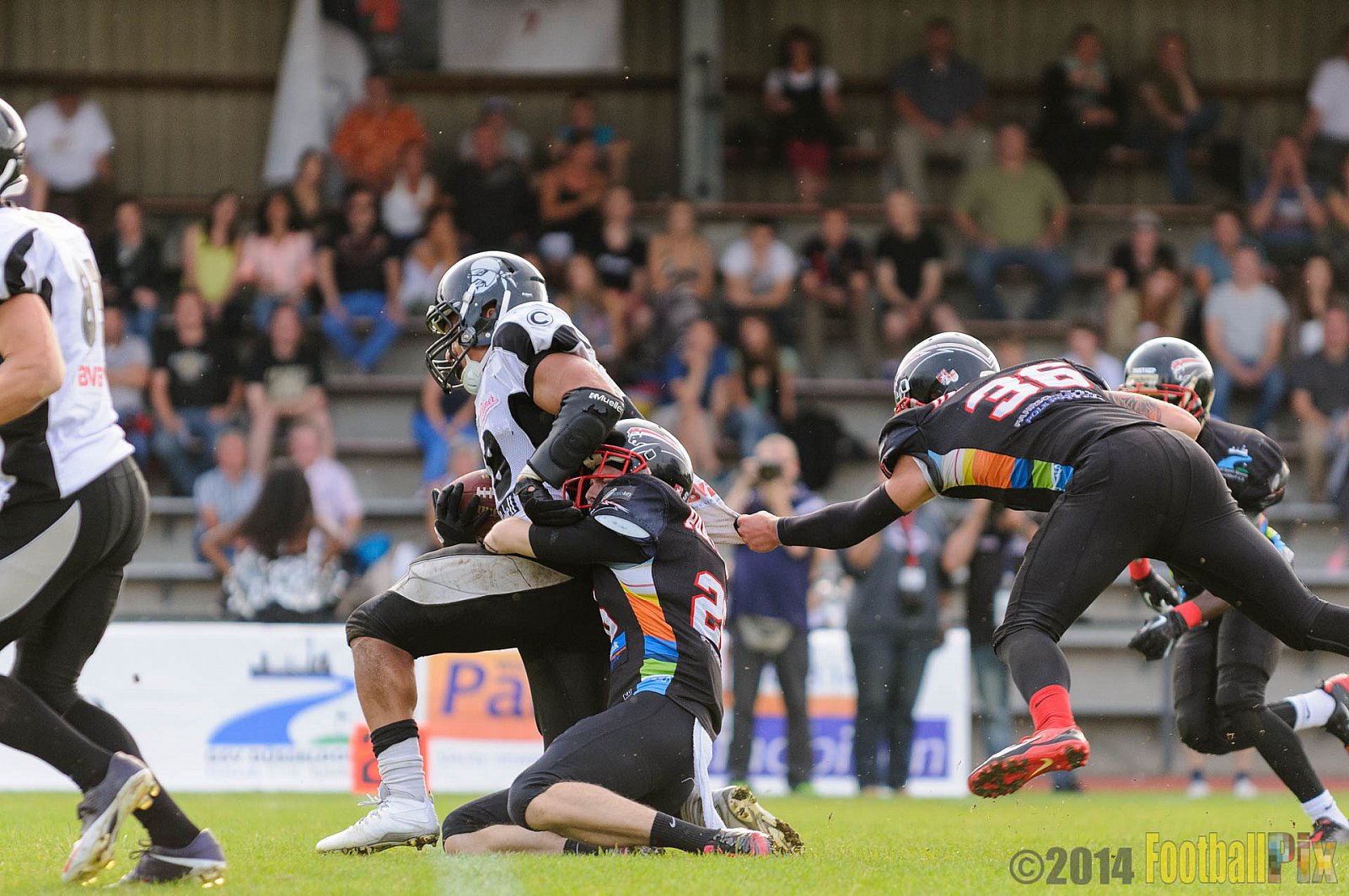 Düsseldorf Panther vs. Berlin Rebels - 09.08.2014 GFL Nord: Düsseldorf Panther vs. Berlin Rebels (29:34) 