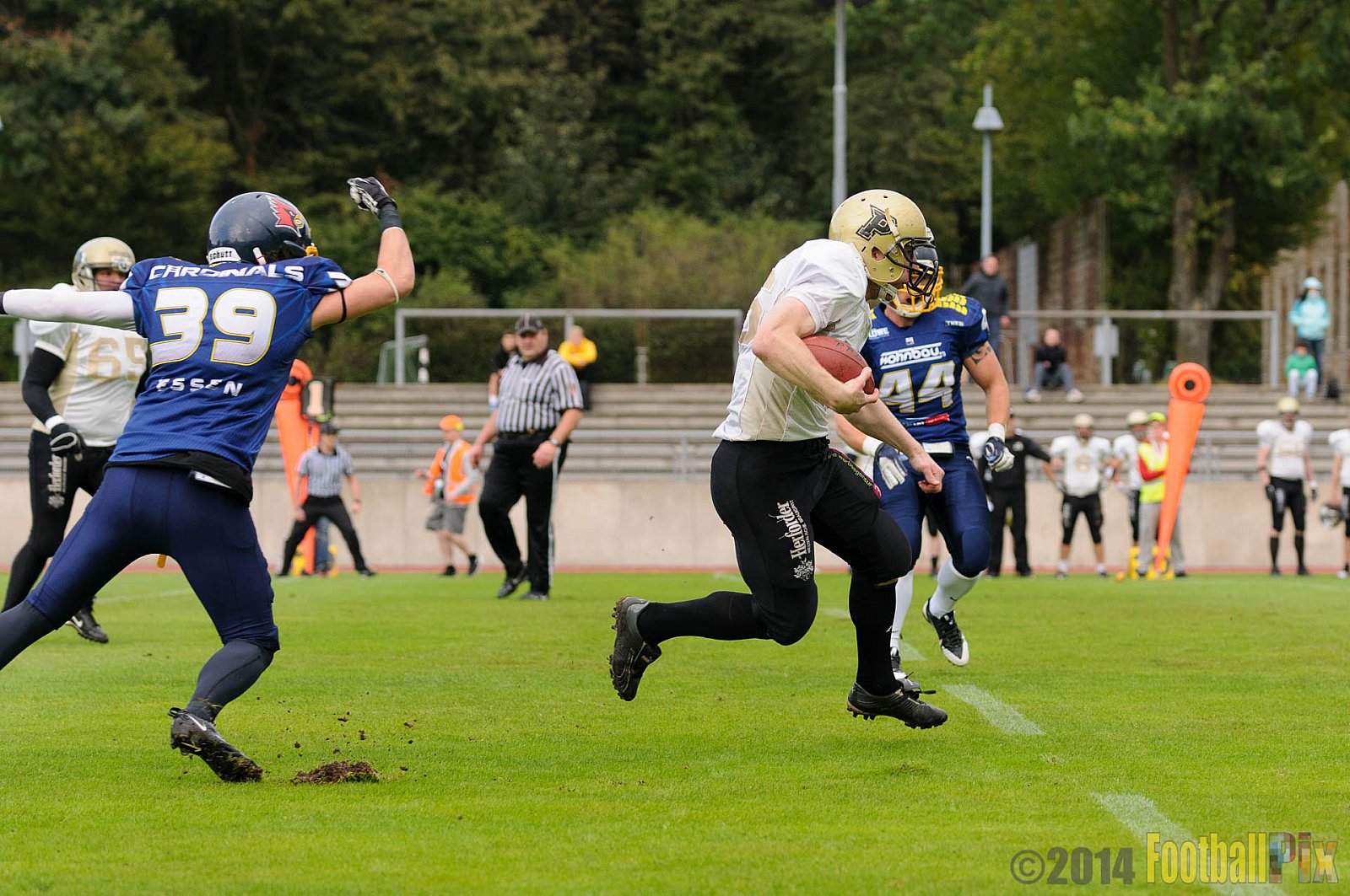 Essen Assindia Cardinals vs. Paderborn Dolphins - 23.08.2014 Essen Assindia Cardinals vs. Paderborn Dolphins (7:35) 