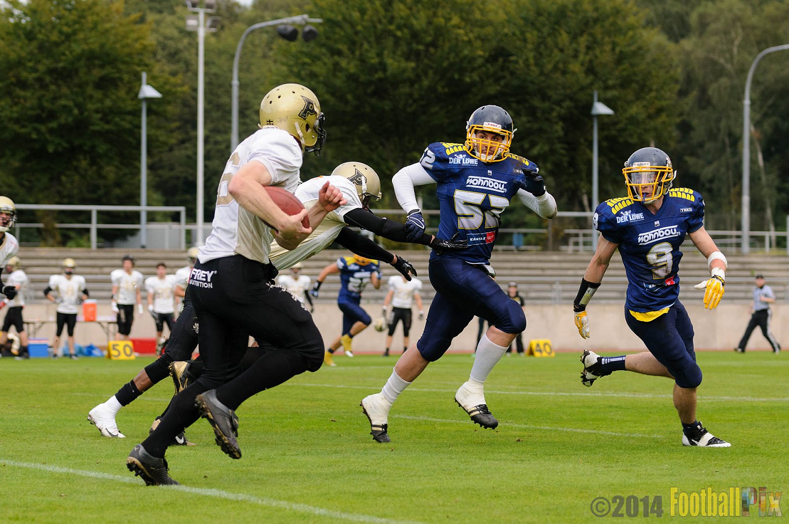 Essen Assindia Cardinals vs. Paderborn Dolphins - 23.08.2014 Essen Assindia Cardinals vs. Paderborn Dolphins (7:35) 