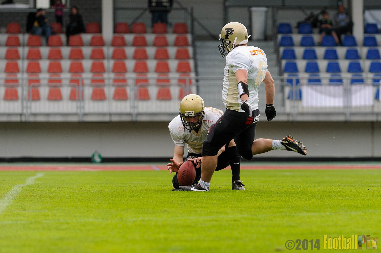 Essen Assindia Cardinals vs. Paderborn Dolphins - 23.08.2014 Essen Assindia Cardinals vs. Paderborn Dolphins (7:35) 