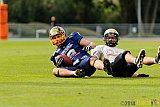 Essen Assindia Cardinals vs. Paderborn Dolphins - 23.08.2014 Essen Assindia Cardinals vs. Paderborn Dolphins (7:35) 