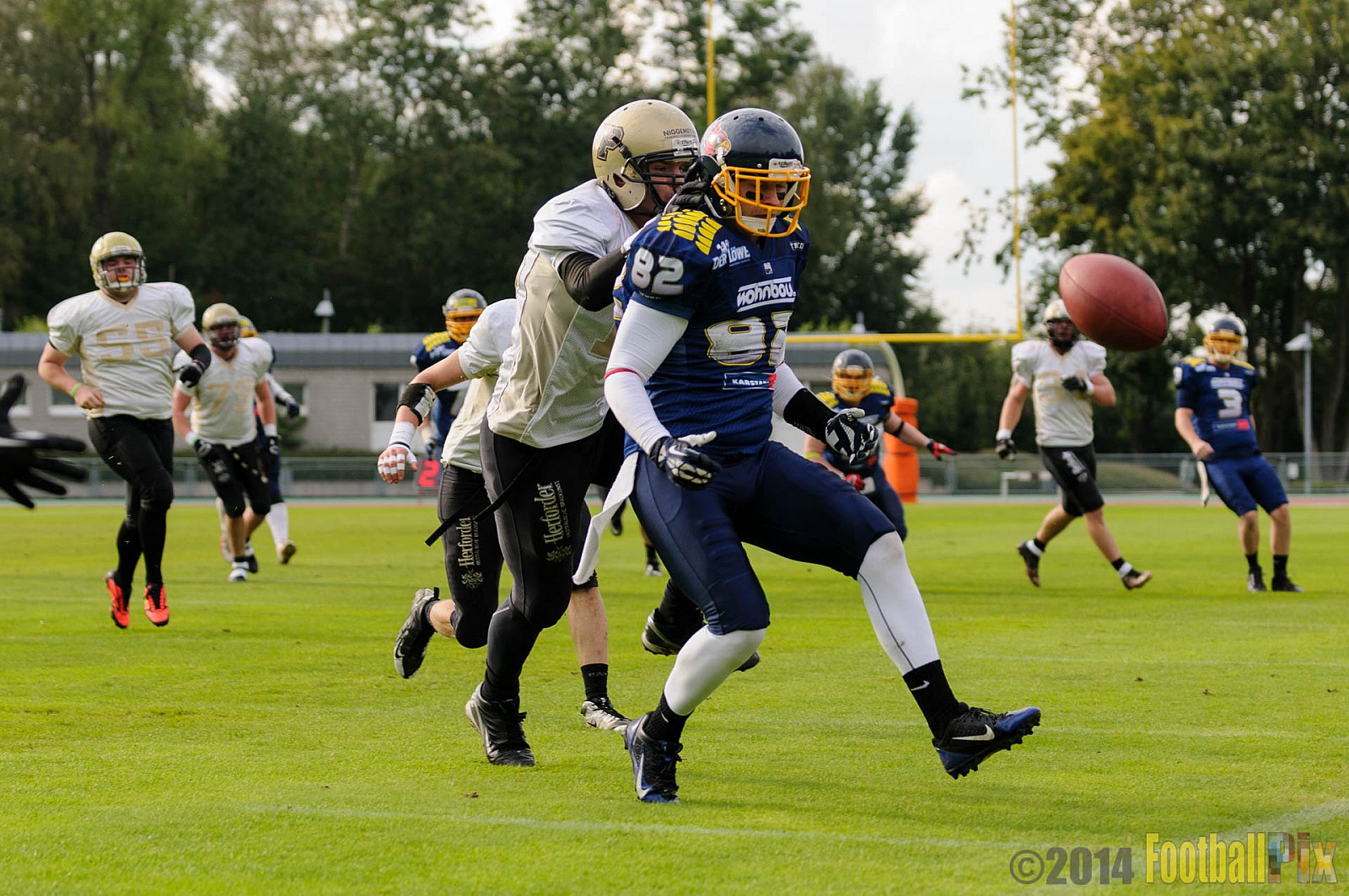 Essen Assindia Cardinals vs. Paderborn Dolphins - 23.08.2014 Essen Assindia Cardinals vs. Paderborn Dolphins (7:35) 