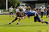 Essen Assindia Cardinals vs. Paderborn Dolphins - 23.08.2014 Essen Assindia Cardinals vs. Paderborn Dolphins (7:35) 