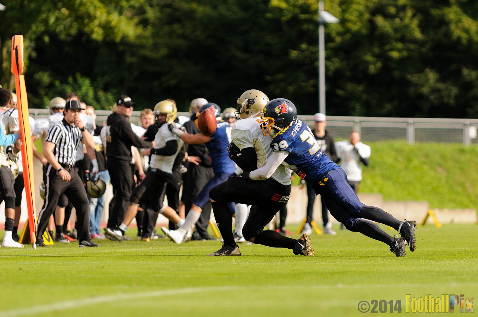 Essen Assindia Cardinals vs. Paderborn Dolphins - 23.08.2014 Essen Assindia Cardinals vs. Paderborn Dolphins (7:35) 