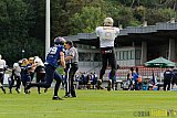 Essen Assindia Cardinals vs. Paderborn Dolphins - 23.08.2014 Essen Assindia Cardinals vs. Paderborn Dolphins (7:35) 