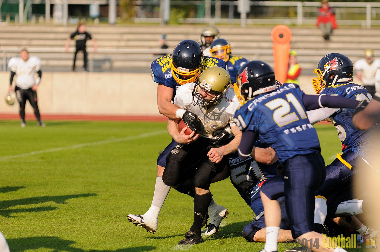 Essen Assindia Cardinals vs. Paderborn Dolphins - 23.08.2014 Essen Assindia Cardinals vs. Paderborn Dolphins (7:35) 