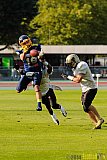 Essen Assindia Cardinals vs. Paderborn Dolphins - 23.08.2014 Essen Assindia Cardinals vs. Paderborn Dolphins (7:35) 